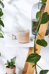 Organic Deodorant / Sensitive 1/2 & 1/2 Deodorant / Organic Deodorant from Butter Me Up Organics
