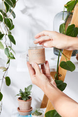 Organic Deodorant / Sensitive 1/2 & 1/2 Deodorant / Organic Deodorant from Butter Me Up Organics