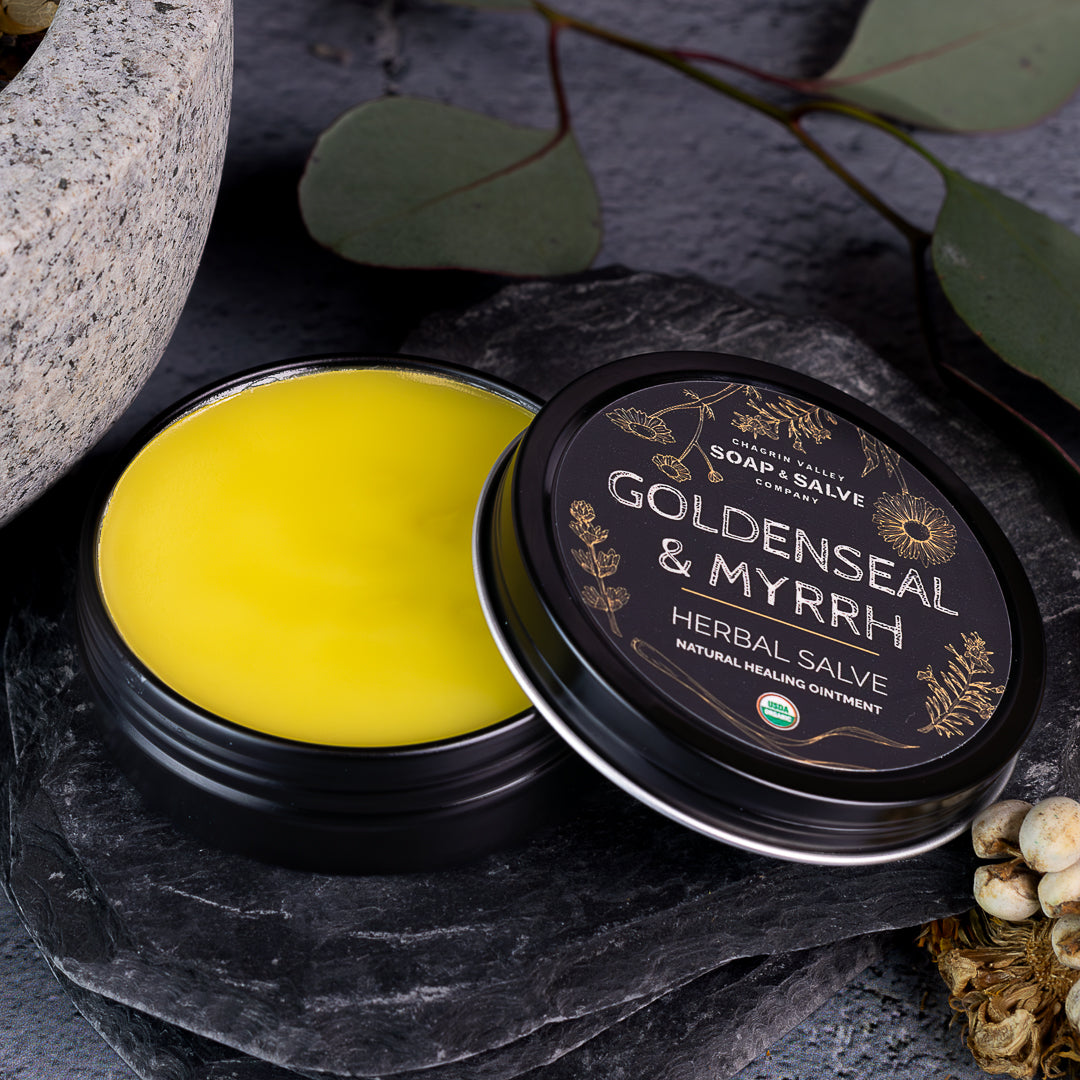 Salve: Goldenseal & Myrrh From Chagrin Valley Soap & Salve