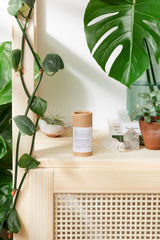 Organic Lotion Bar Shea Butter and Coconut Oil From Butter Me Up Organics