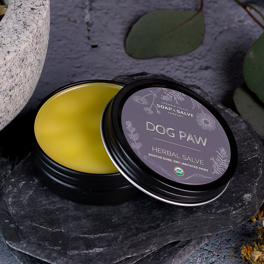Salve: Dog Paw From Chagrin Valley Soap & Salve