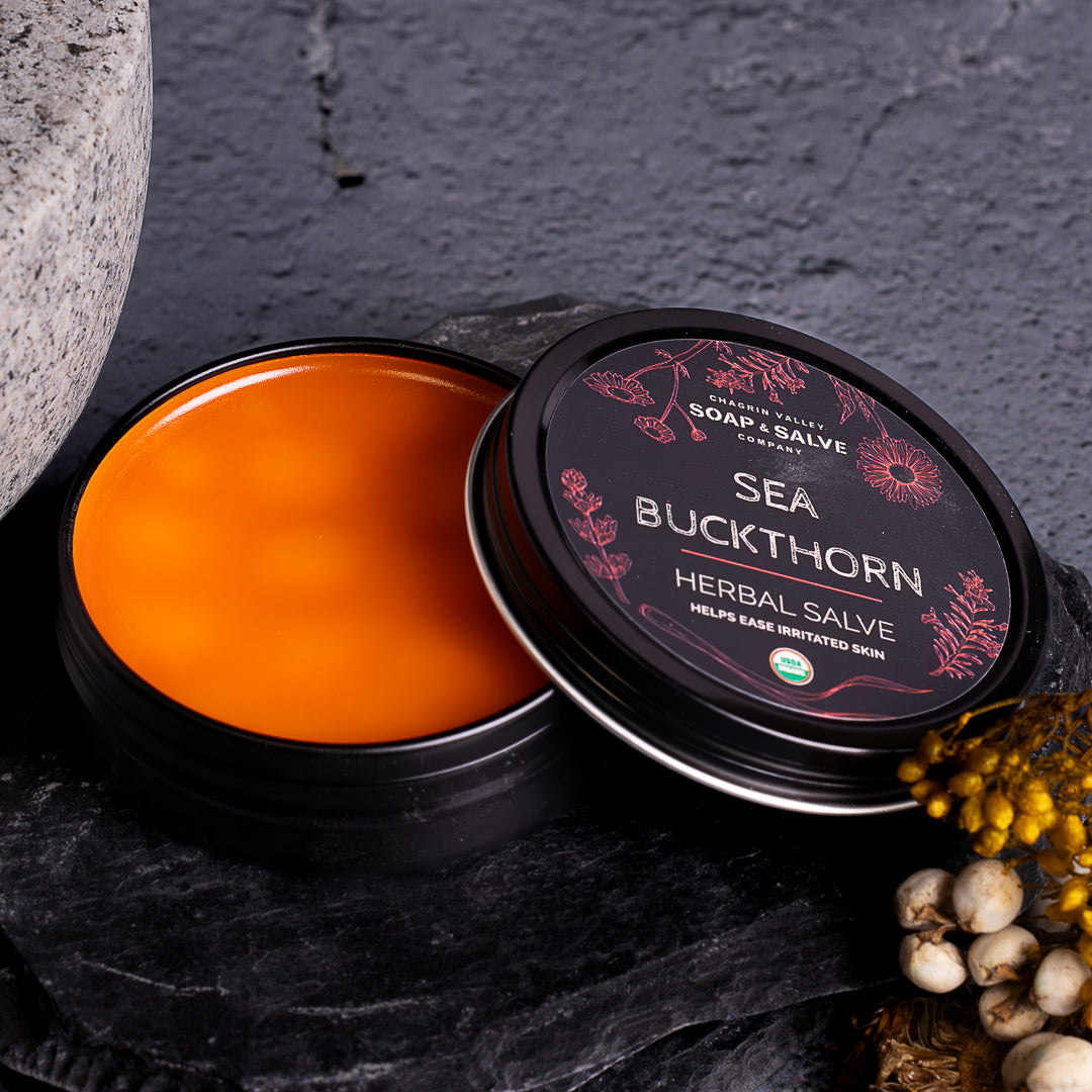 Salve: Sea Buckthorn From Chagrin Valley Soap & Salve