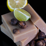 Shampoo Bar: Soapnuts Citrus Mint From Chagrin Valley Soap & Salve