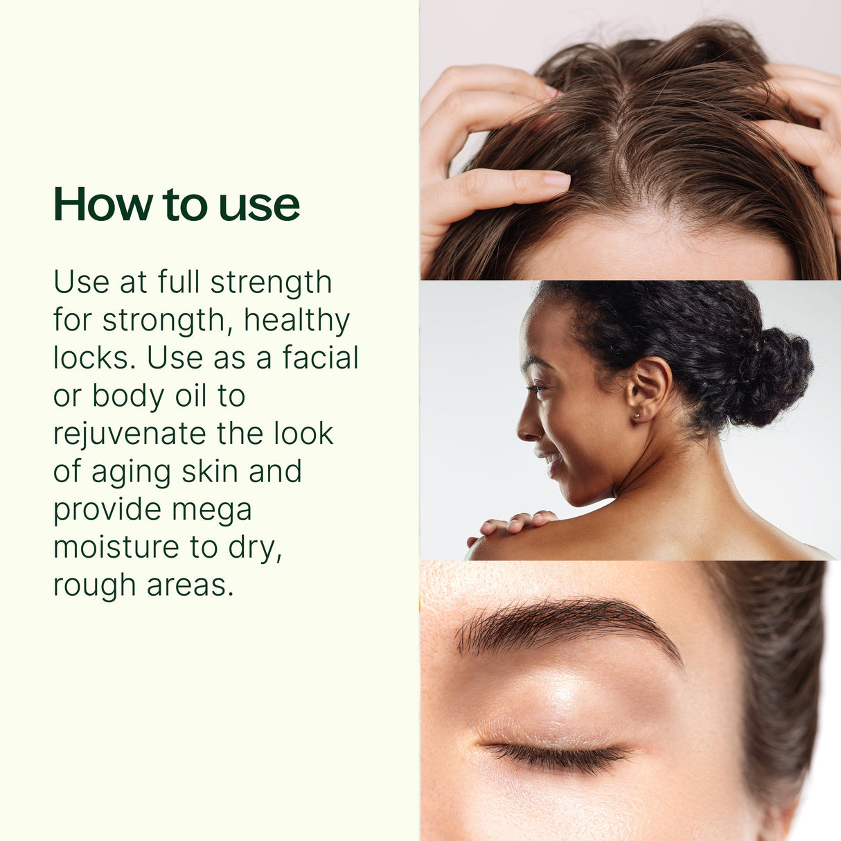 Organic Argan Carrier Oil from Plant Therapy