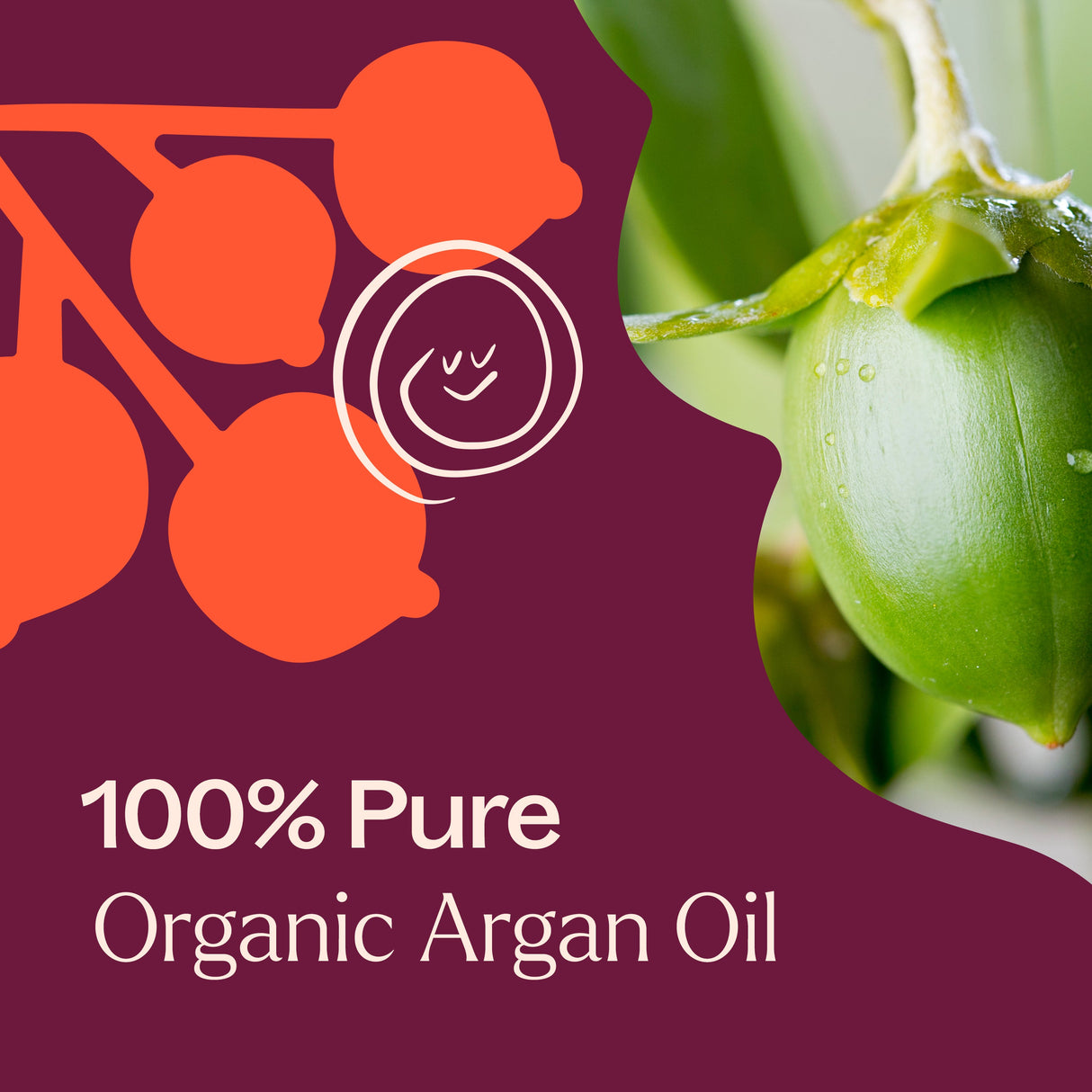 Organic Argan Carrier Oil from Plant Therapy