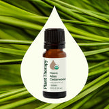 Organic Atlas Cedarwood Essential Oil from Plant Therapy