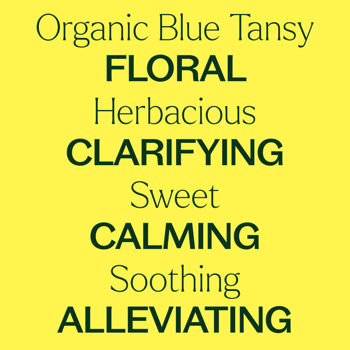 Organic Blue Tansy Essential Oil from Plant Therapy