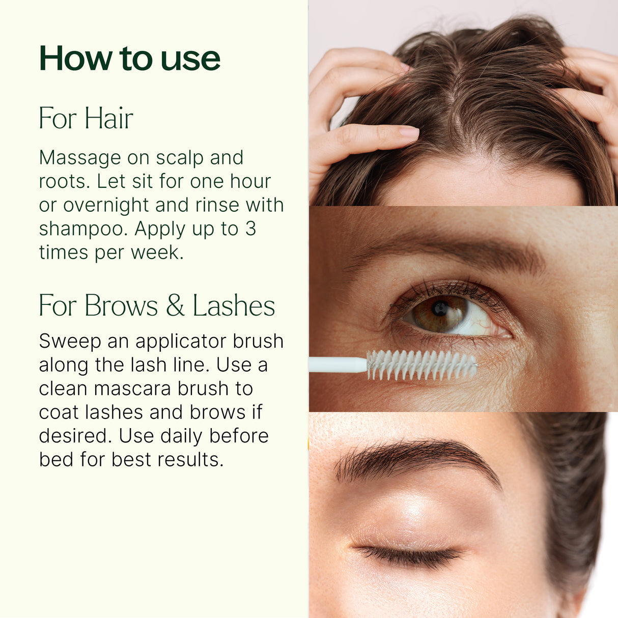 Organic Castor Oil From Plant Therapy