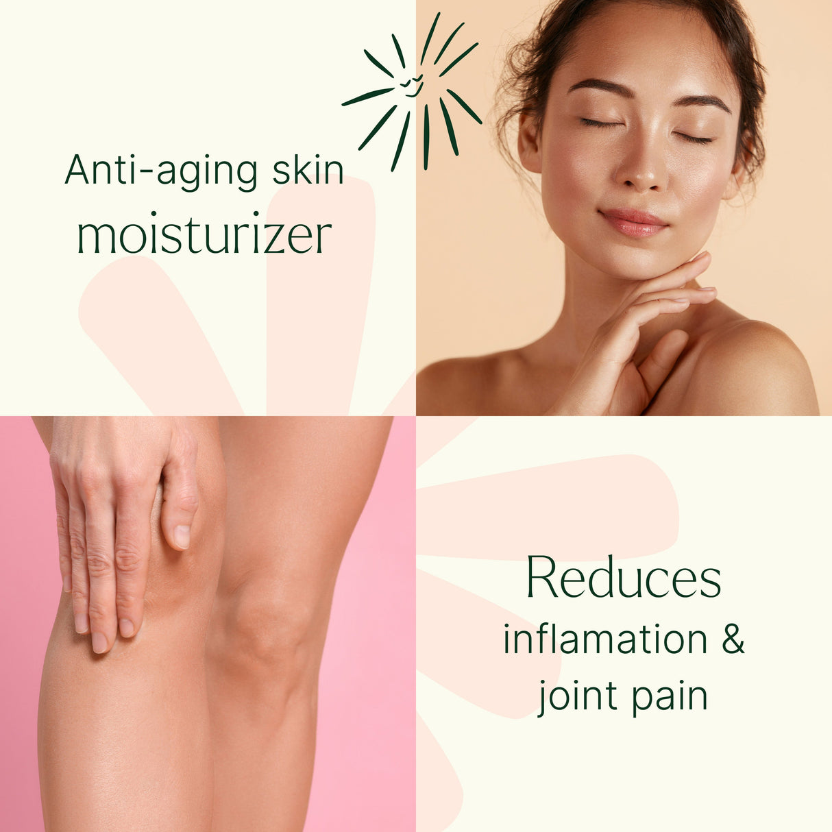 Organic Castor Body Oil Roll-On from Plant Therapy