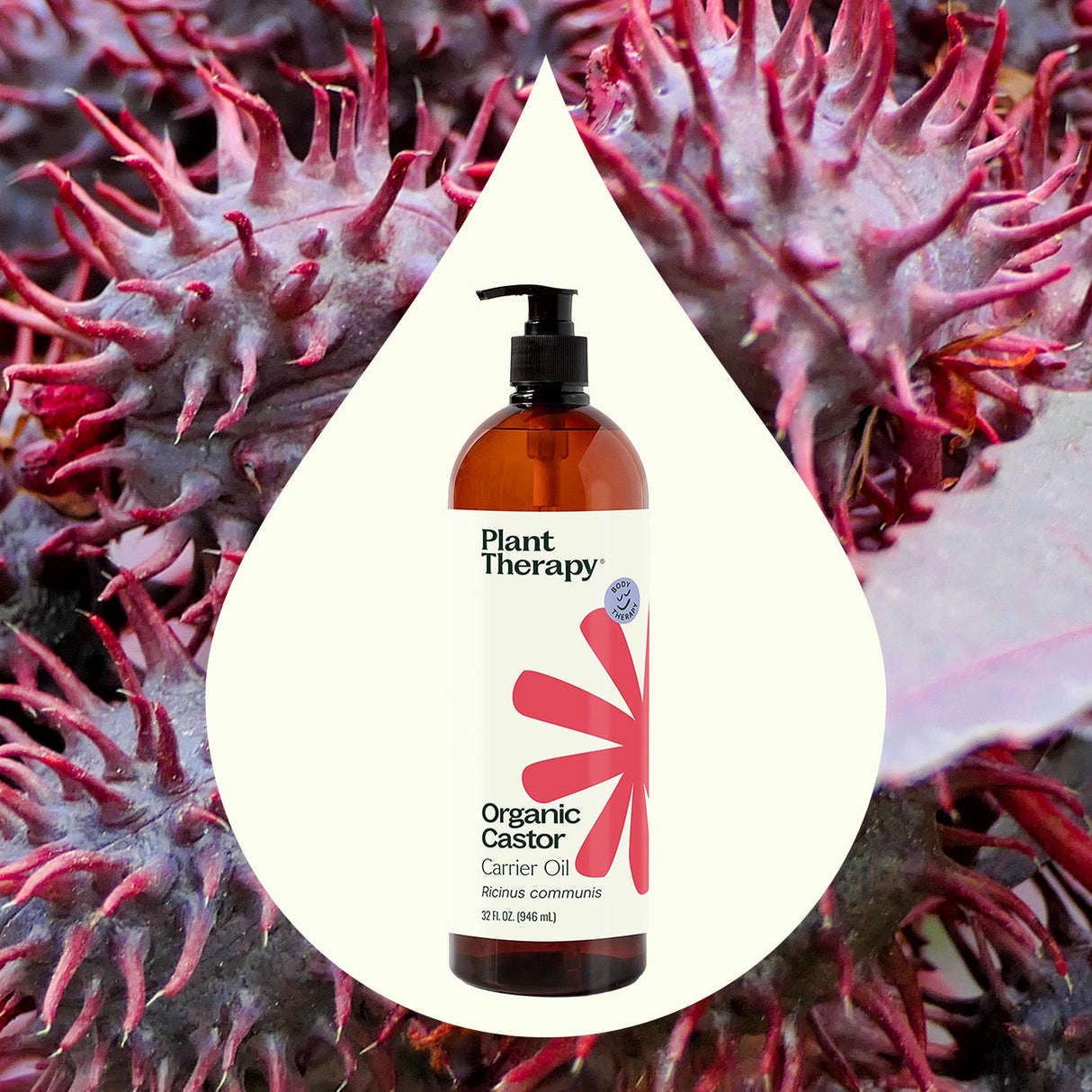 Organic Castor Carrier Oil from Plant Therapy