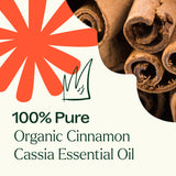 Organic Cinnamon Cassia Essential Oil from Plant Therapy