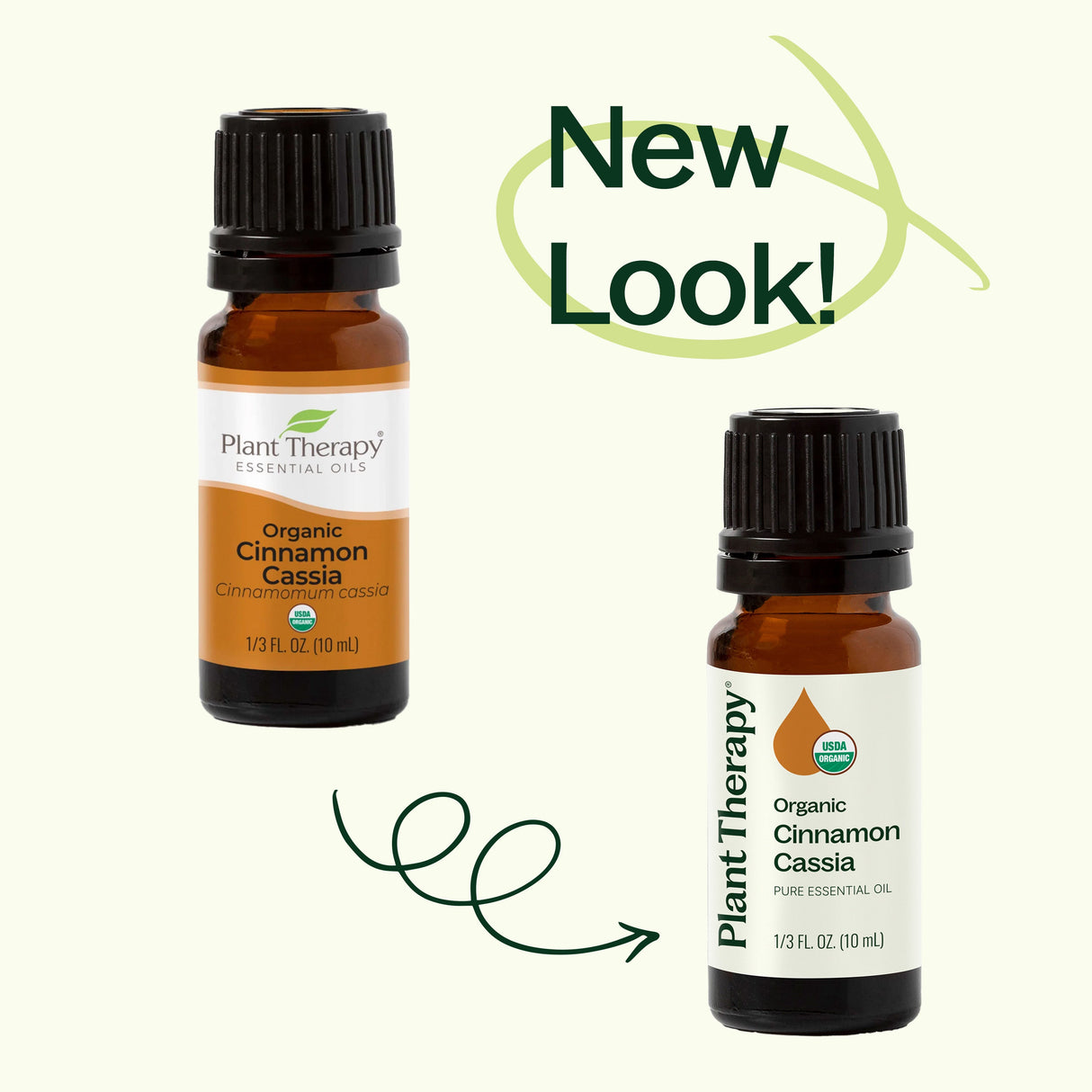 Organic Cinnamon Cassia Essential Oil from Plant Therapy