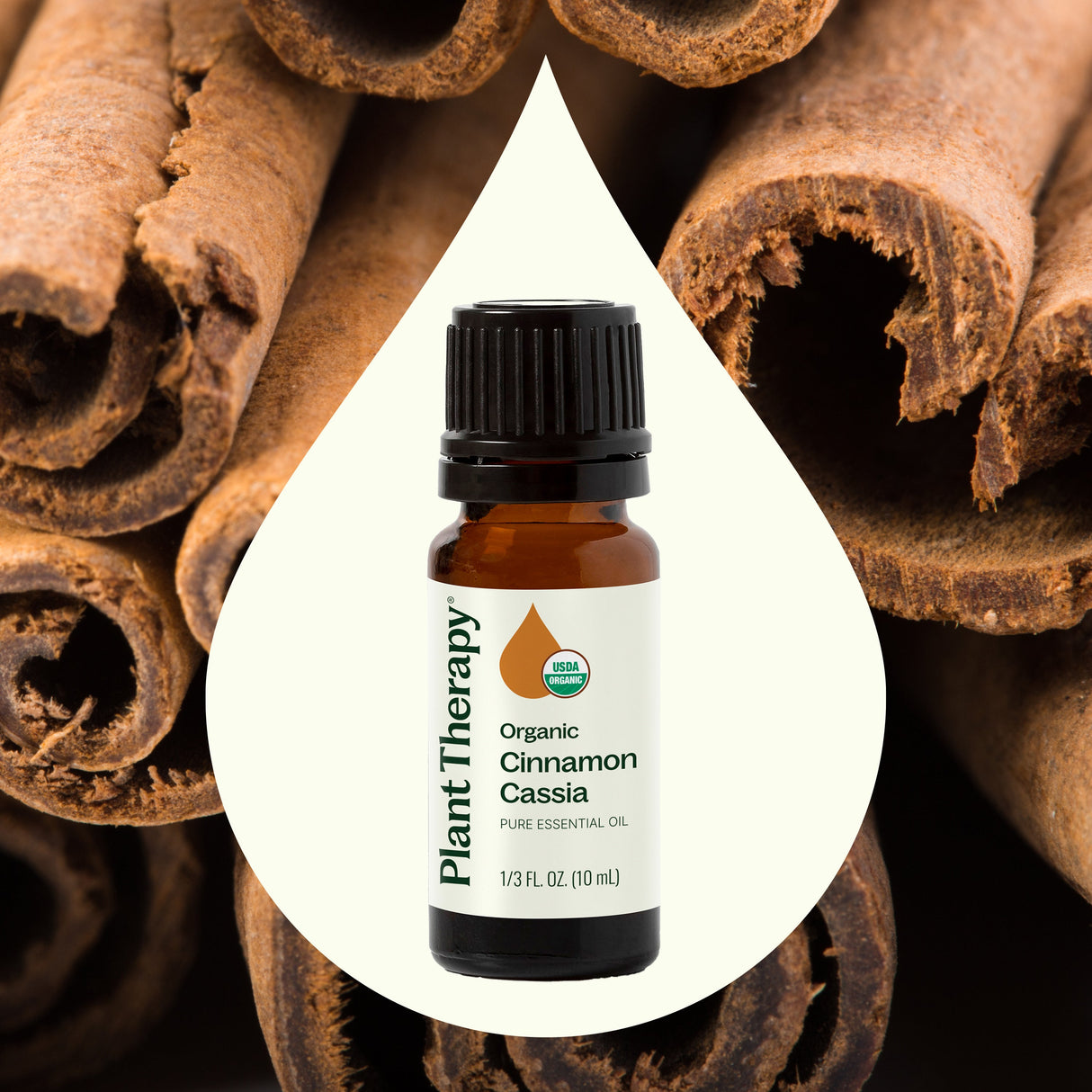 Organic Cinnamon Cassia Essential Oil from Plant Therapy