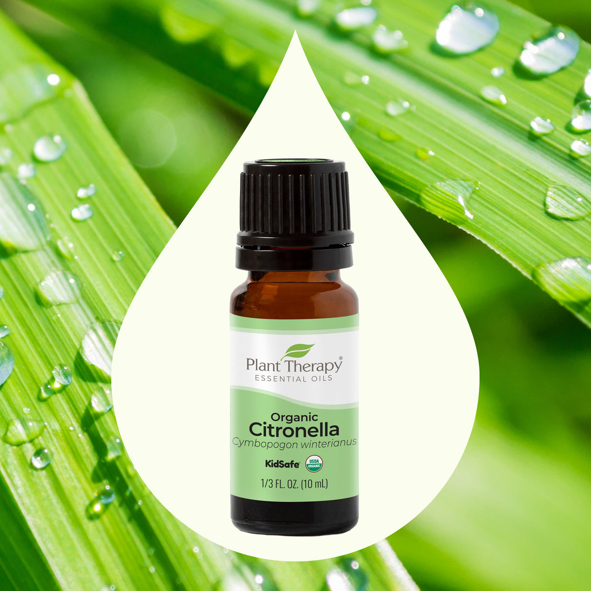 Organic Citronella Essential Oil from Plant Therapy