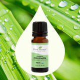 Organic Citronella Essential Oil from Plant Therapy