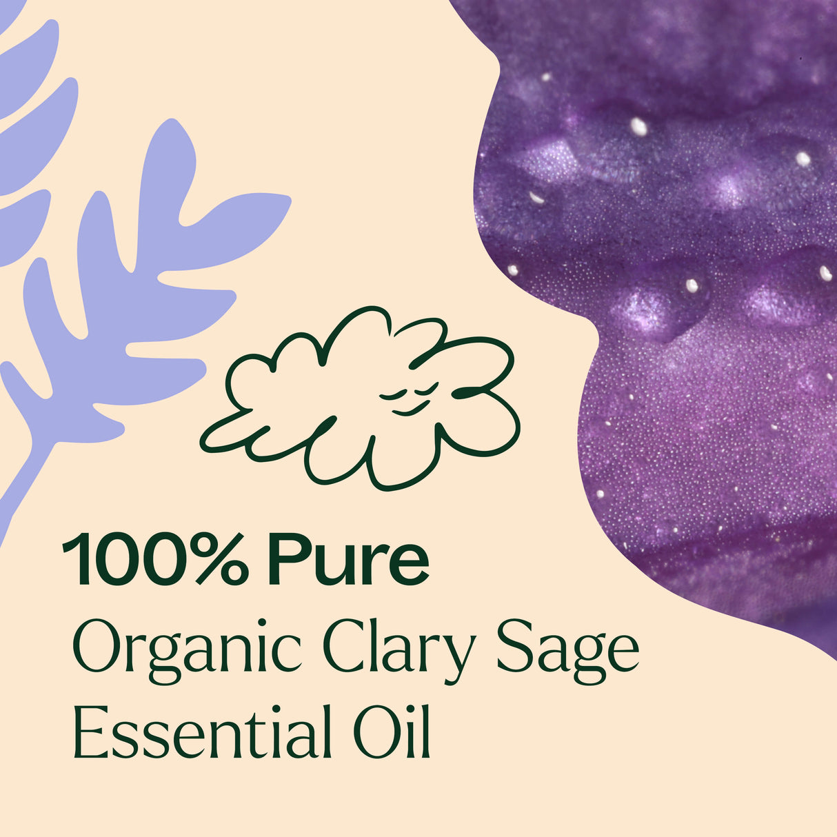 Organic Clary Sage Essential Oil from Plant Therapy