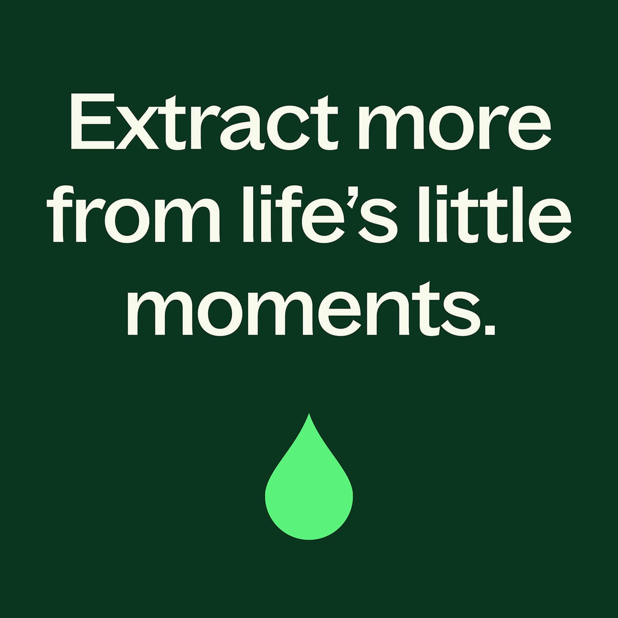 Organic Clove Bud Essential Oil from Plant Therapy