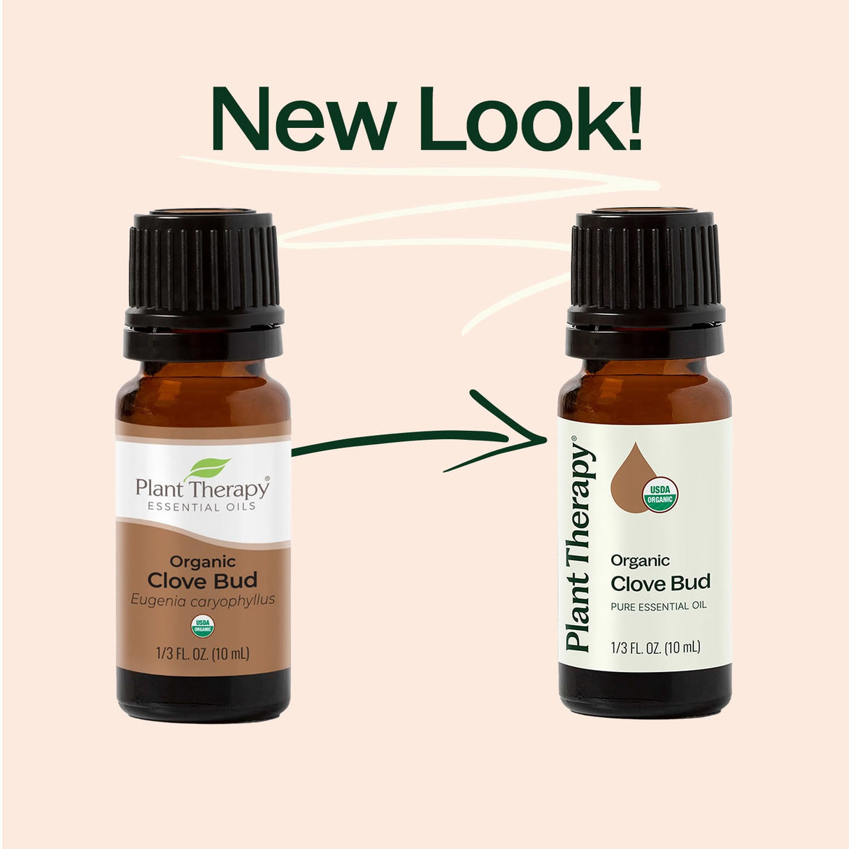 Organic Clove Bud Essential Oil from Plant Therapy