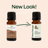 Organic Clove Bud Essential Oil from Plant Therapy