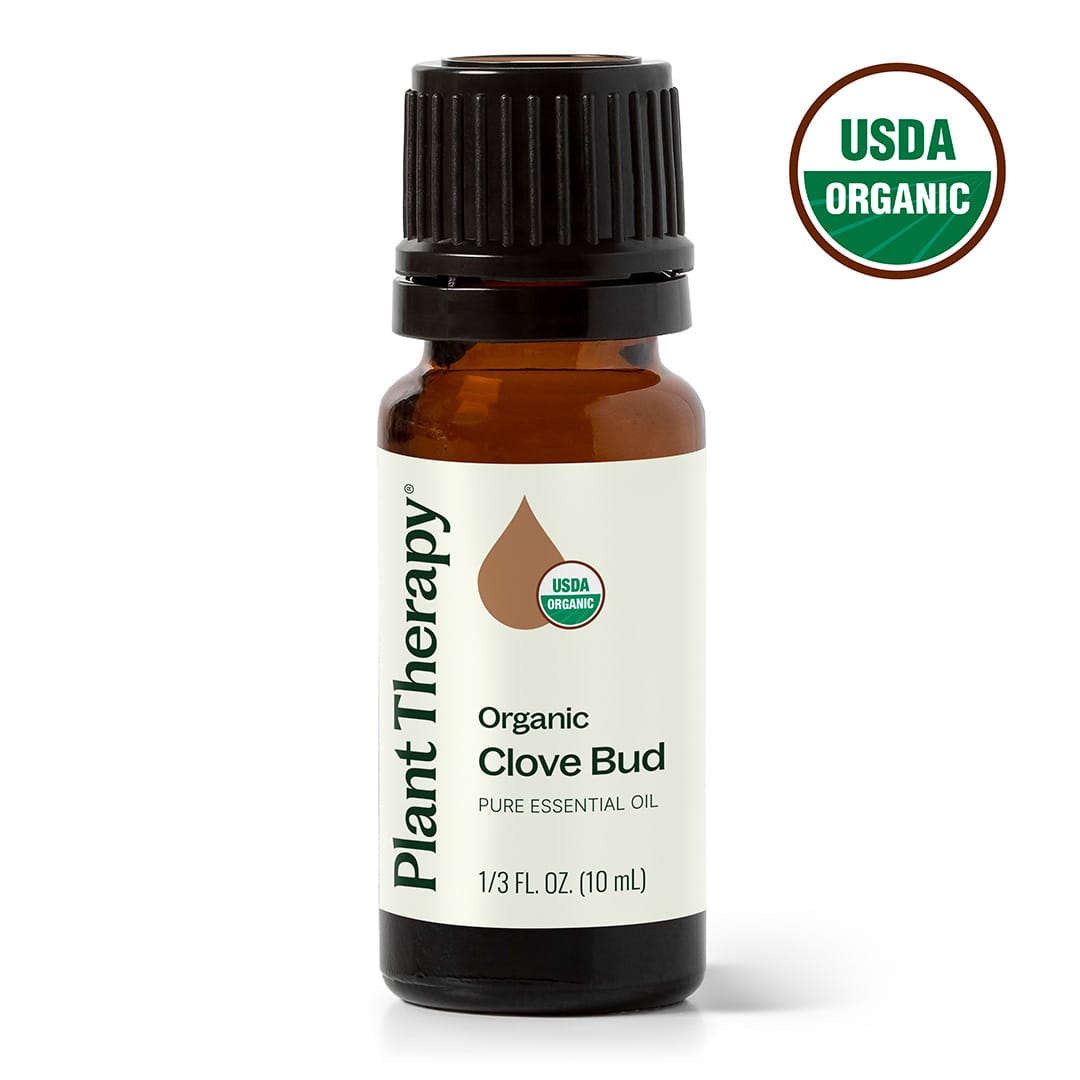 Organic Clove Bud Essential Oil from Plant Therapy