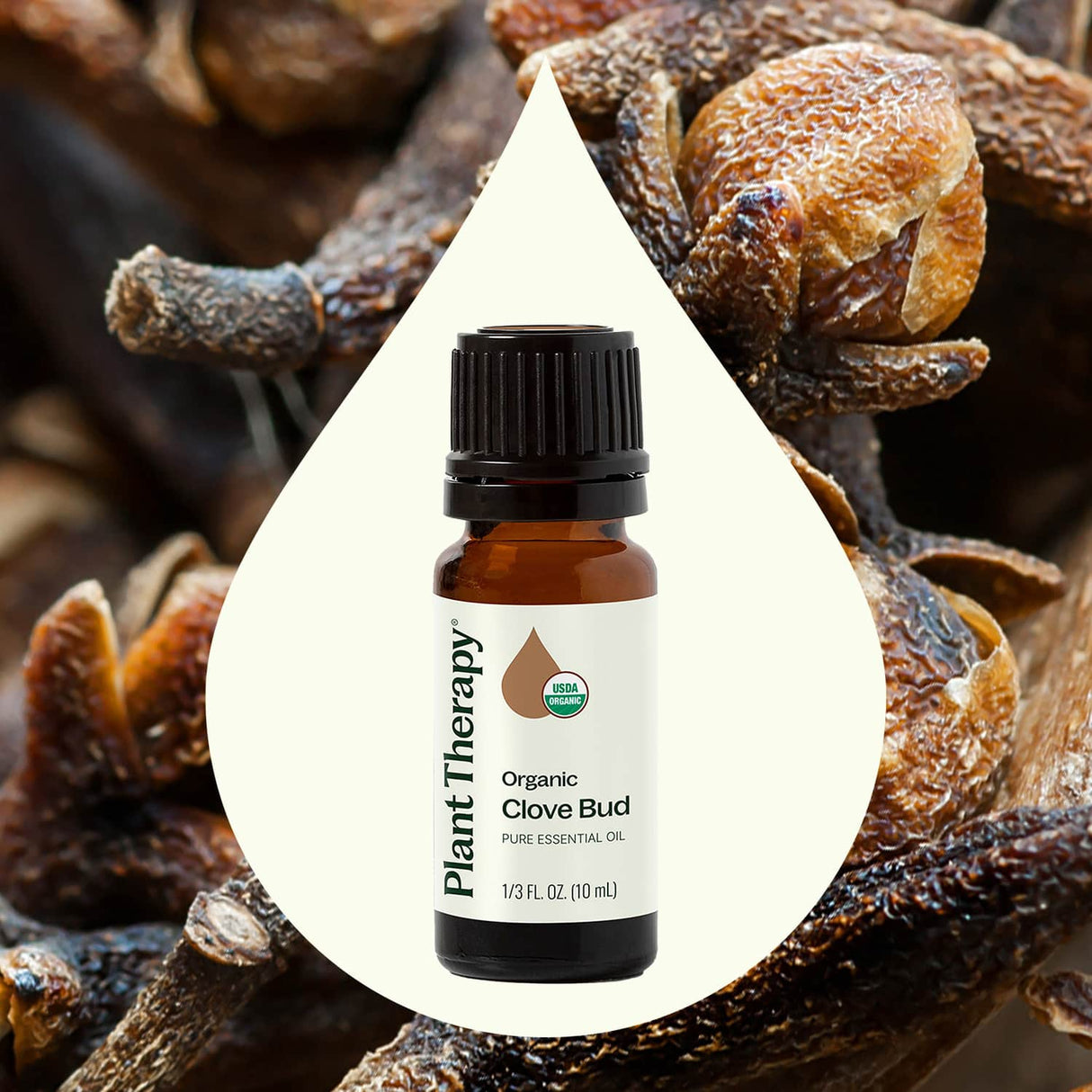Organic Clove Bud Essential Oil from Plant Therapy