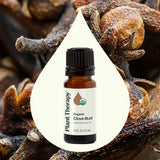 Organic Clove Bud Essential Oil from Plant Therapy