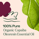 Organic Copaiba Oleoresin From Plant Therapy