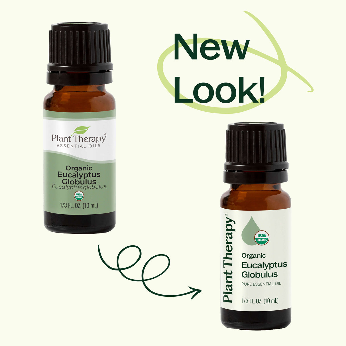 Organic Eucalyptus Globulus Essential Oil from Plant Therapy