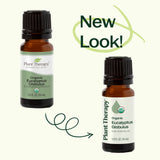 Organic Eucalyptus Globulus Essential Oil from Plant Therapy