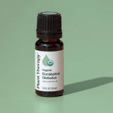 Organic Eucalyptus Globulus Essential Oil from Plant Therapy