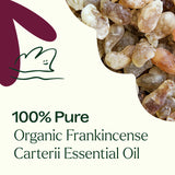 Organic Frankincense Carterii Essential Oil from Plant Therapy