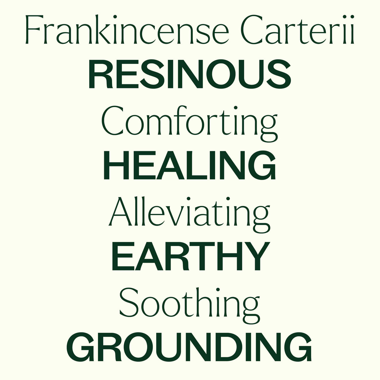 Organic Frankincense Carterii Essential Oil from Plant Therapy