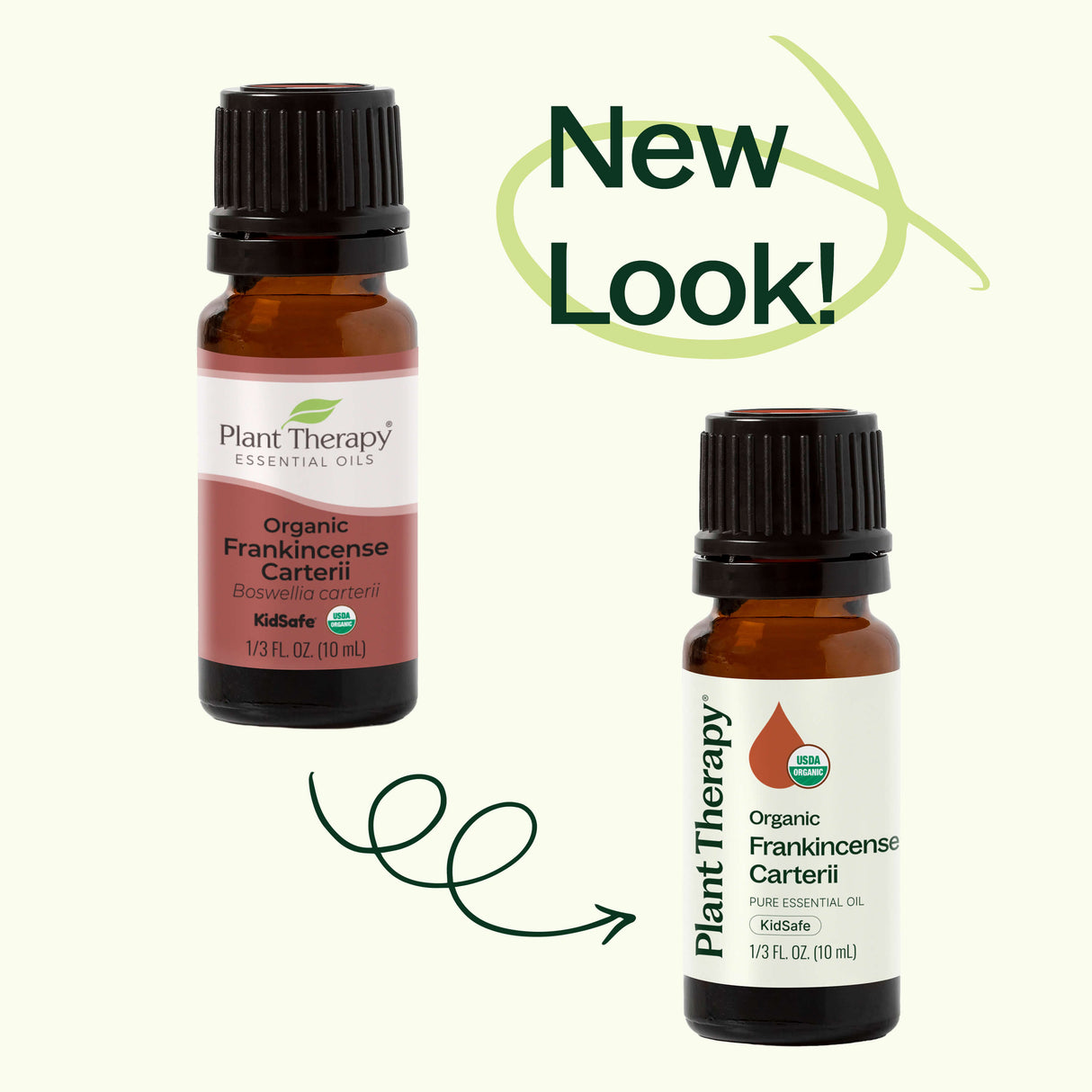 Organic Frankincense Carterii Essential Oil from Plant Therapy