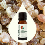 Organic Frankincense Carterii Essential Oil from Plant Therapy