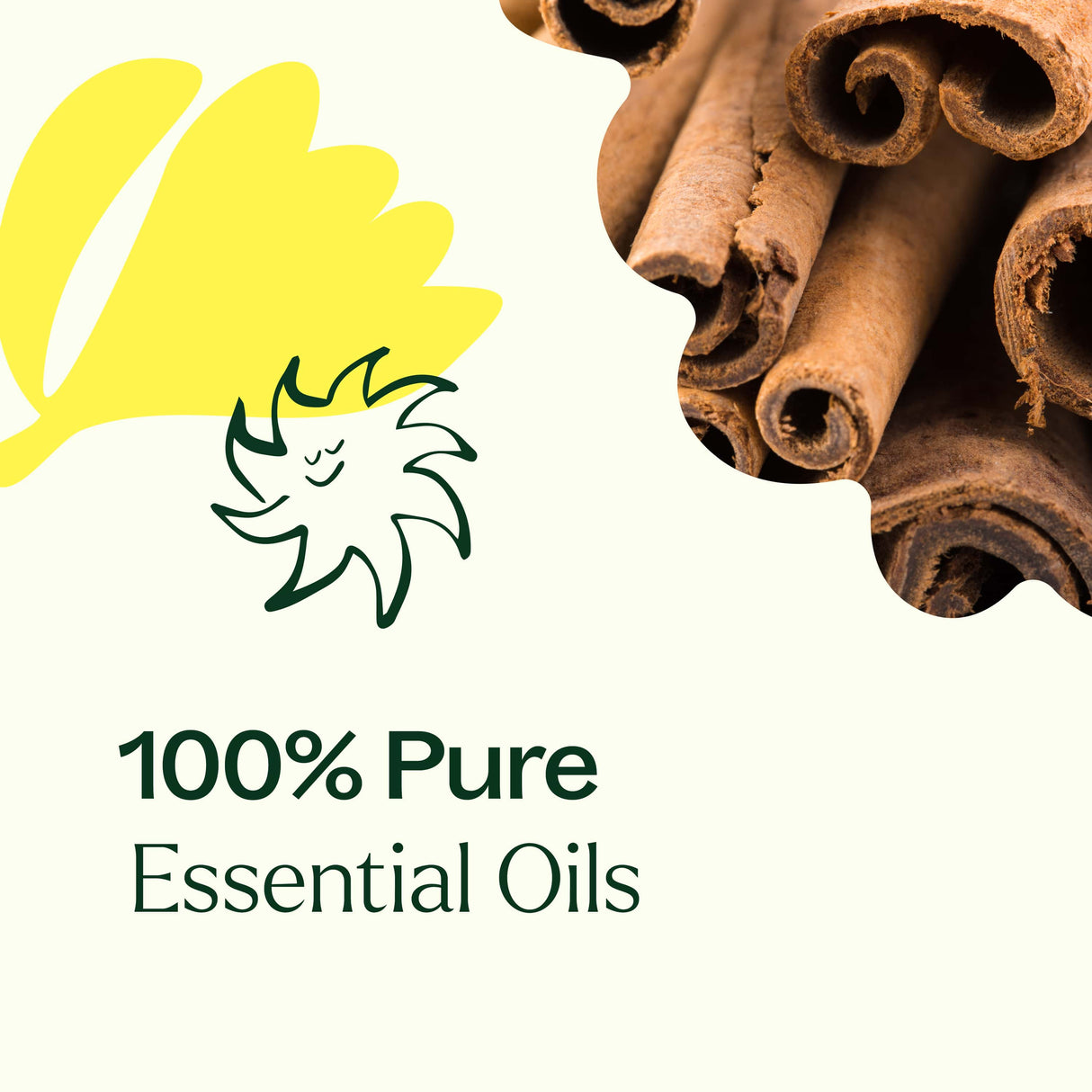 Organic Germ Fighter Essential Oil from Plant Therapy