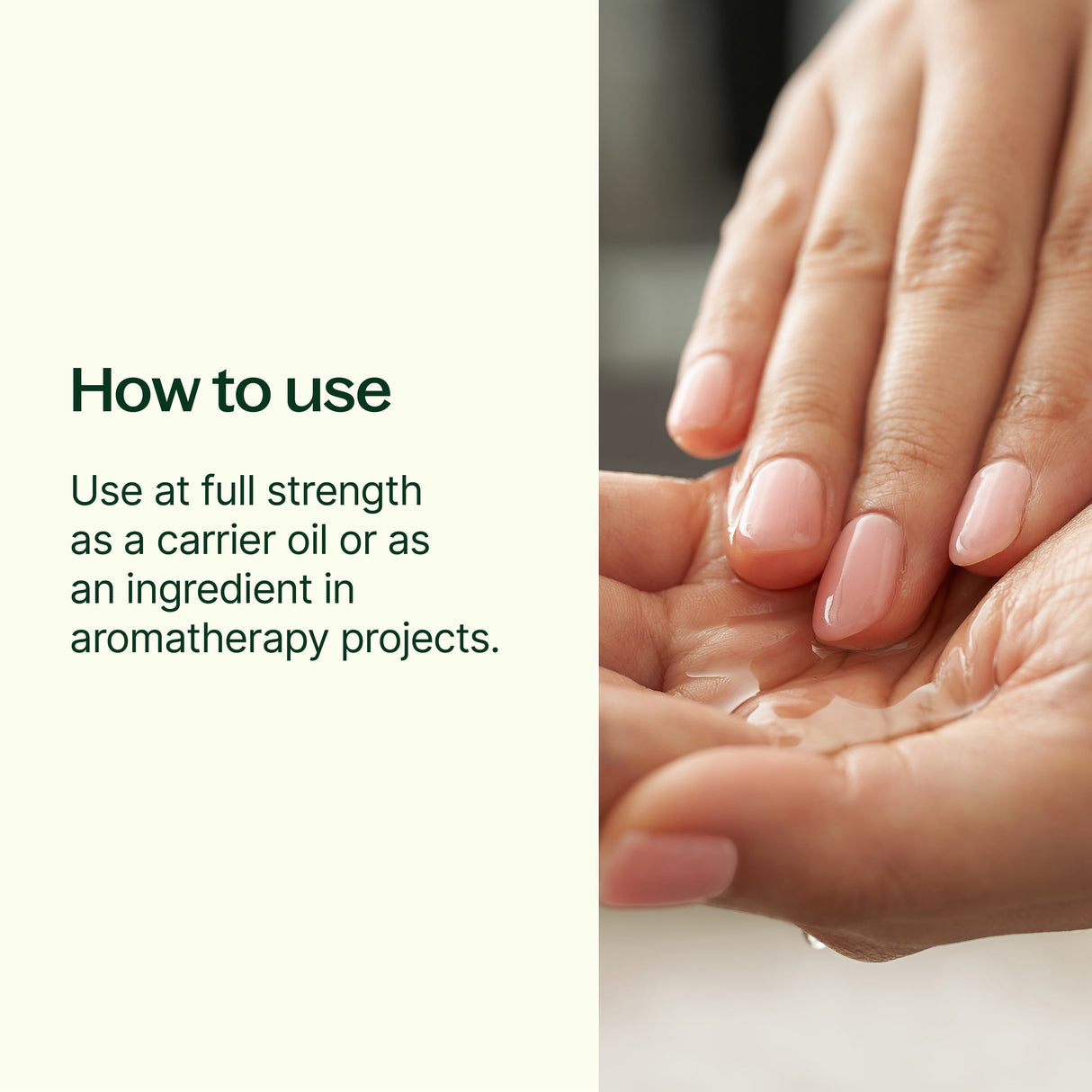 Organic Golden Jojoba Carrier Oil from Plant Therapy