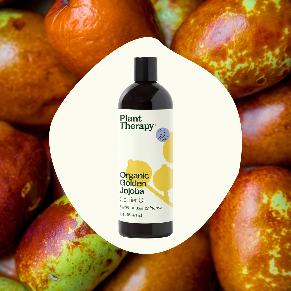 Organic Golden Jojoba Carrier Oil from Plant Therapy