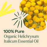 Organic Helichrysum Italicum Essential Oil from Plant Therapy