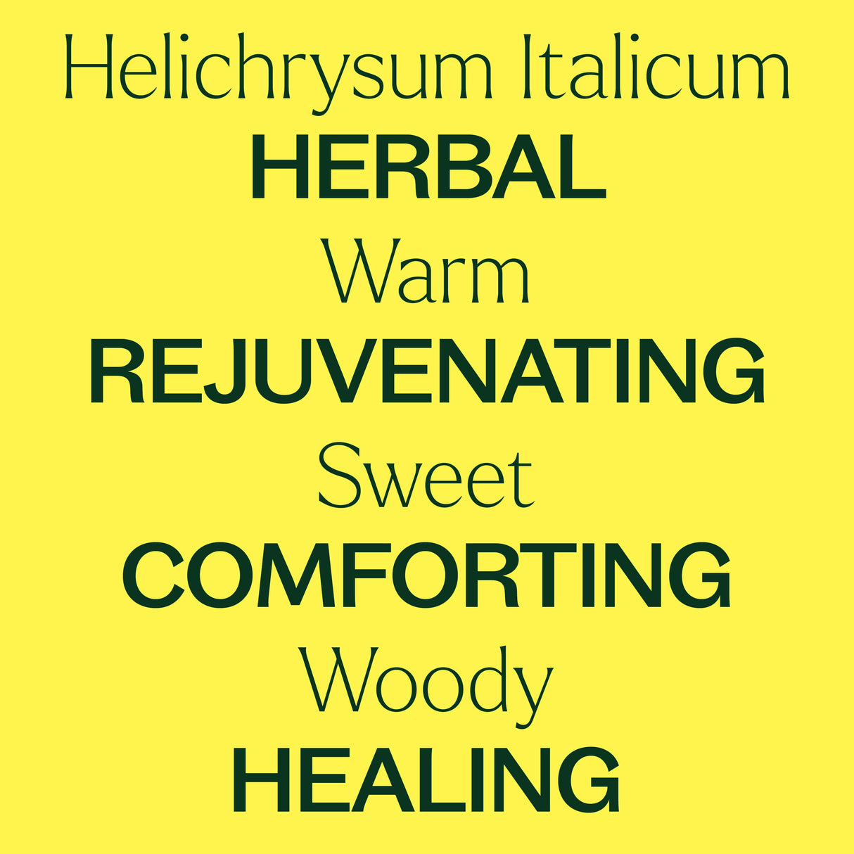 Organic Helichrysum Italicum Essential Oil from Plant Therapy