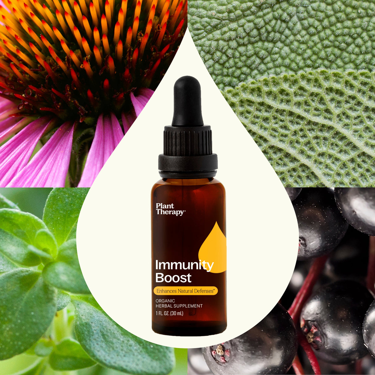 Immunity Boost Organic Herbal Supplement from Plant Therapy