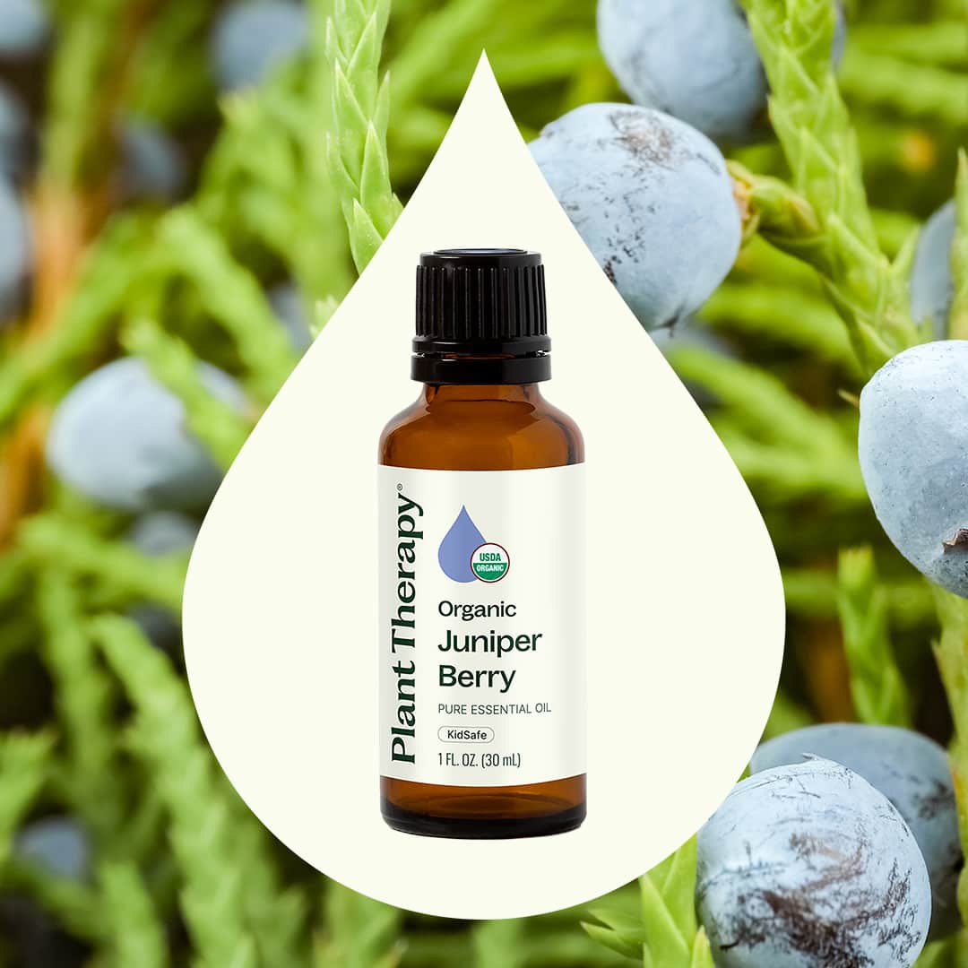 Organic Juniper Berry Essential Oil from Plant Therapy