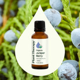 Organic Juniper Berry Essential Oil from Plant Therapy