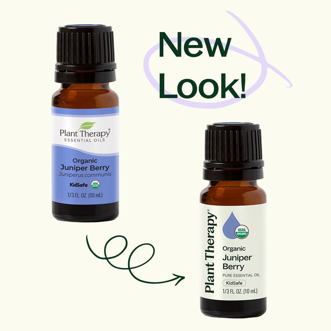 Organic Juniper Berry Essential Oil from Plant Therapy