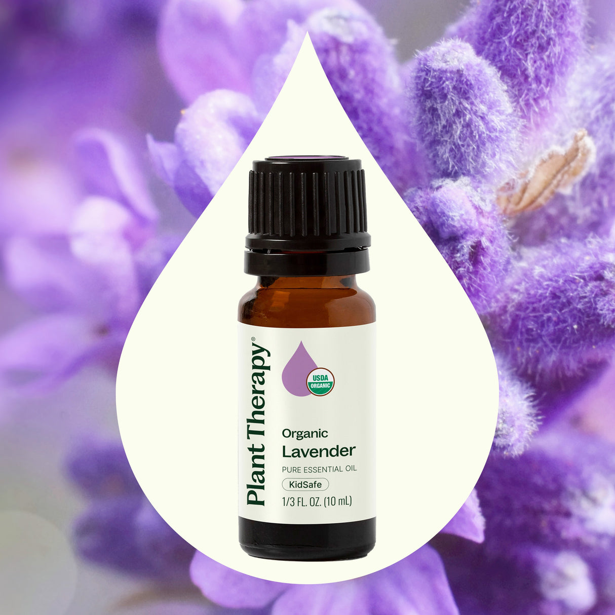 Organic Lavender Essential Oil from Plant Therapy
