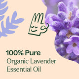 Organic Lavender Essential Oil from Plant Therapy