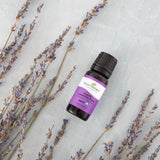 Organic Lavender Fine Essential Oil from Plant Therapy