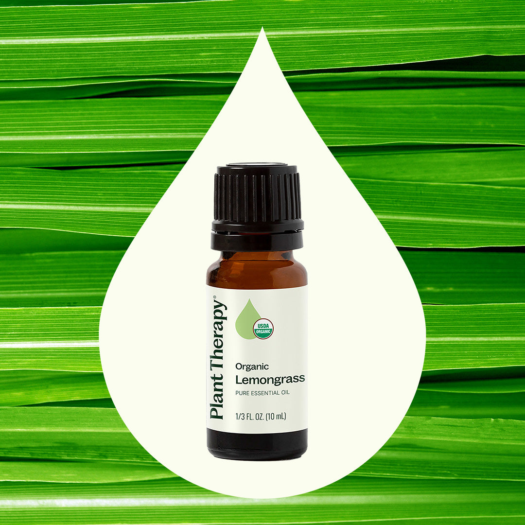Organic Lemongrass Essential Oil from Plant Therapy