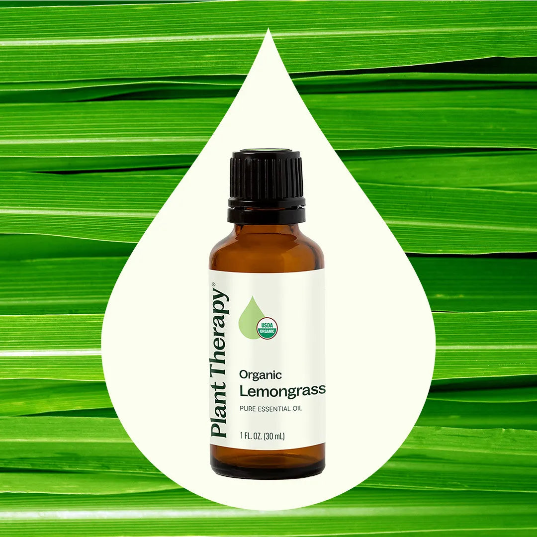 Organic Lemongrass Essential Oil from Plant Therapy