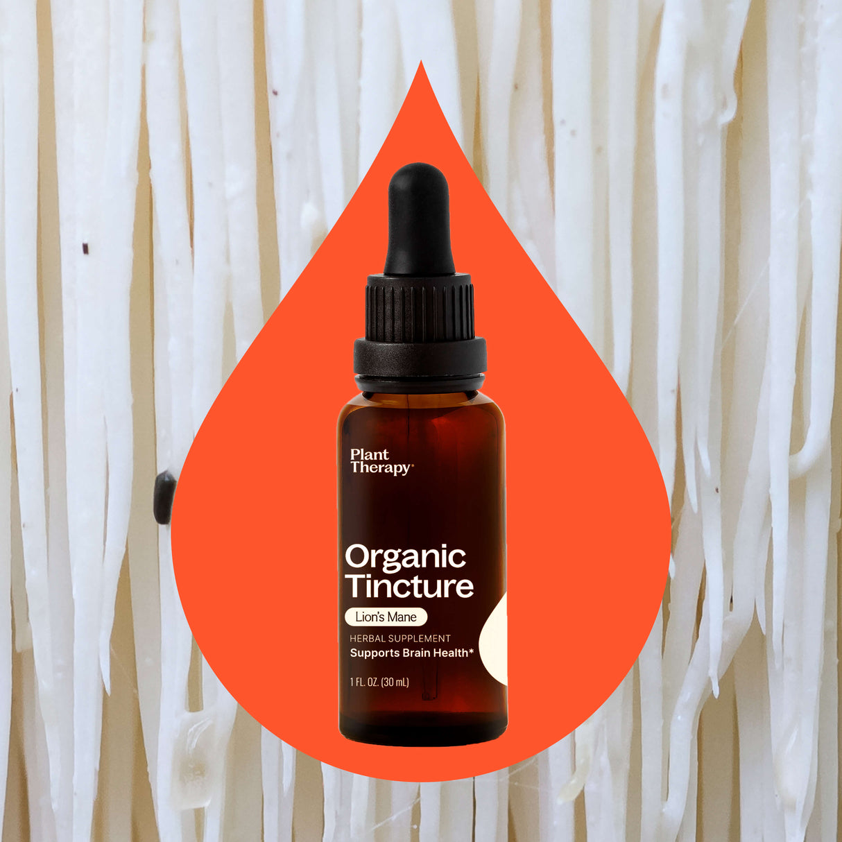 Organic Lion's Mane Tincture From Plant Therapy