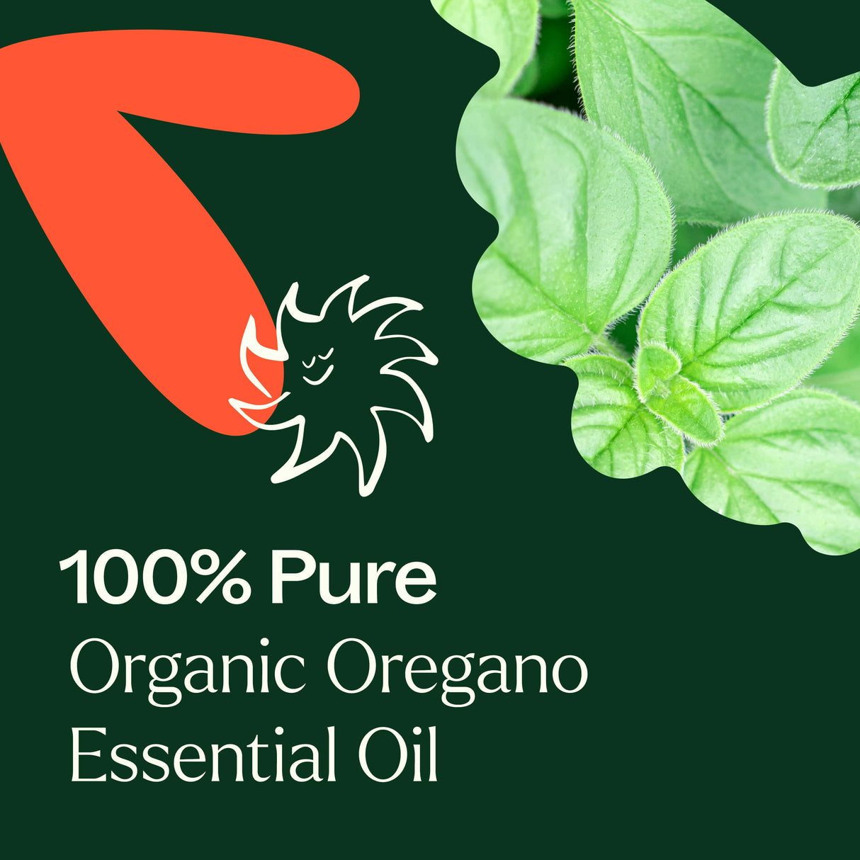 Organic Oregano Essential Oil from Plant Therapy